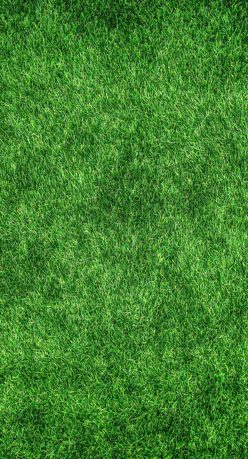 Eco-Conscious Designs